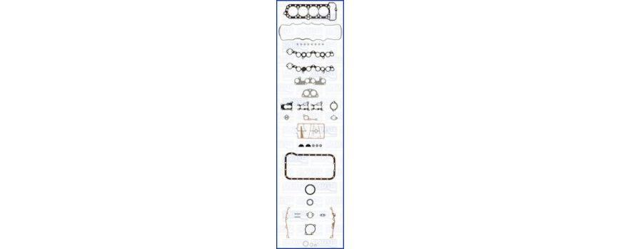 Комплект прокладок двигателя (TF4036NK) TEIKIN - Тайвань